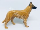 Malinois-2-um copy